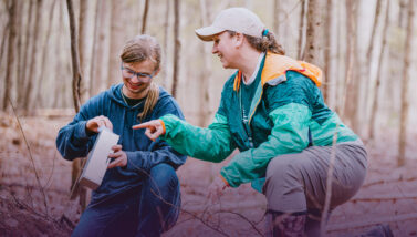 Students conduct fieldwork in the Adirondacks